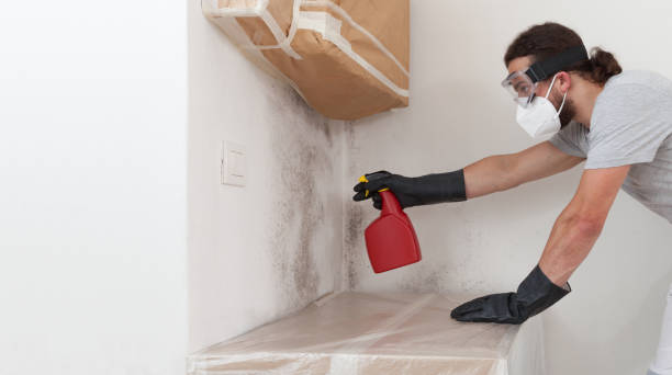 Professional Mold Cleanup technician working in New Columbia, PA