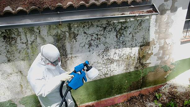 Top rated local Mold Cleanup specialists in New Columbia, PA